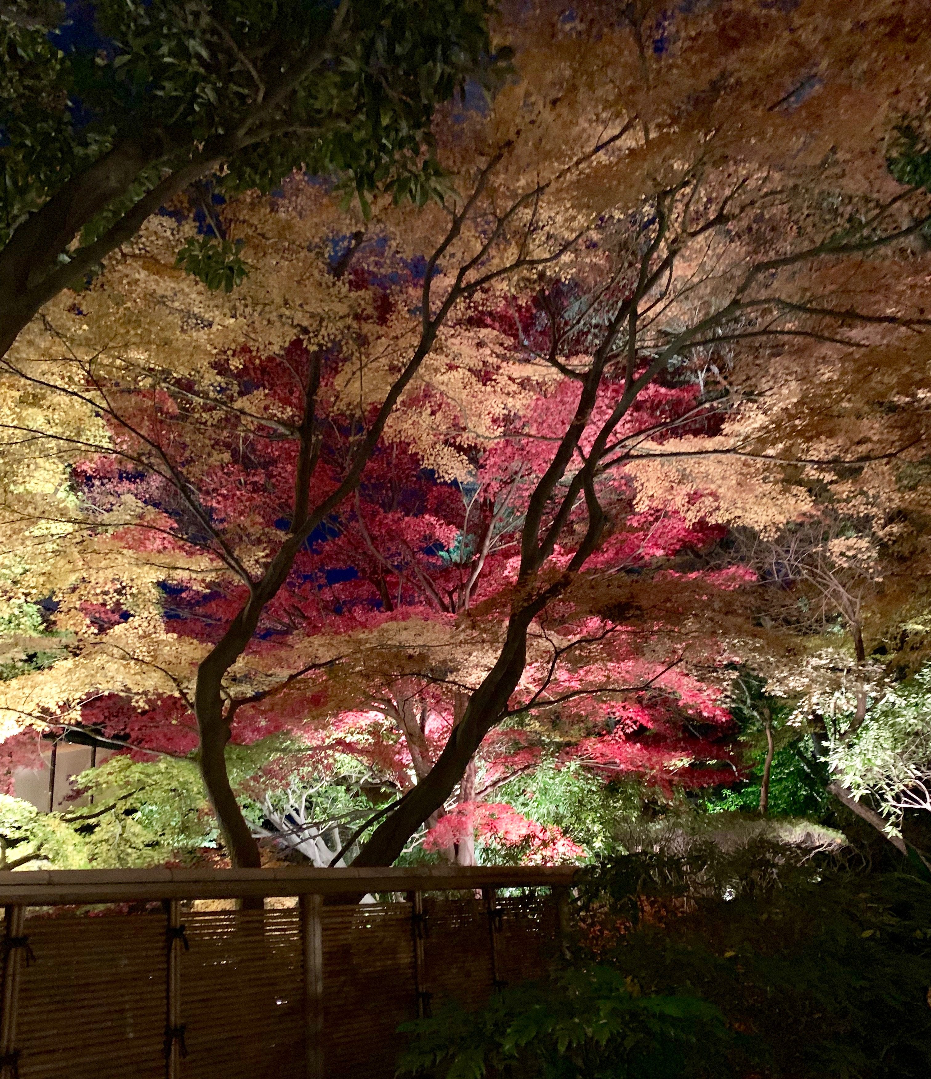 シェラトン