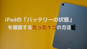 売上高ランキング PRO 【電池状態89%】IPAD 11 +256GB (第1世代)Wi-Fi タブレット